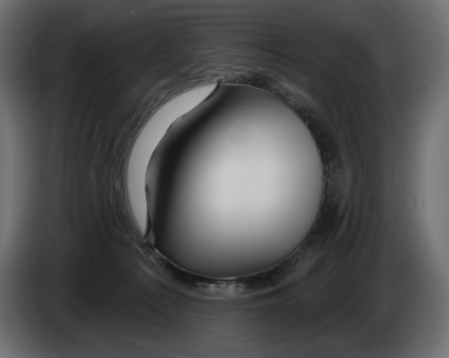 X0000082960225200703020219