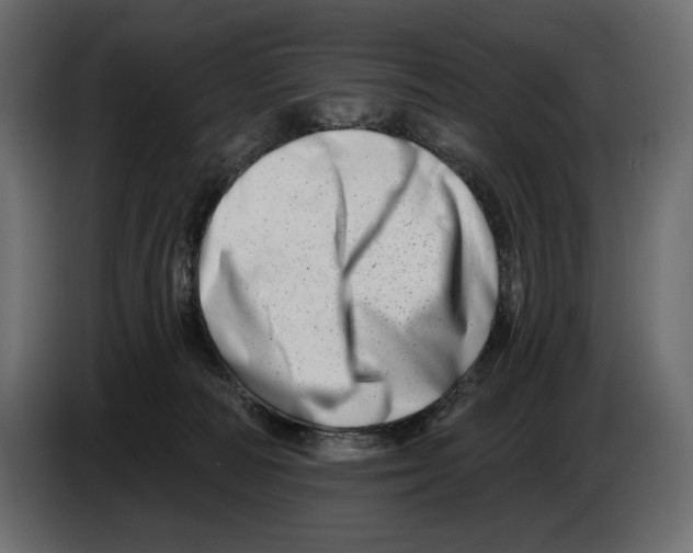 X0000082960226200703020219