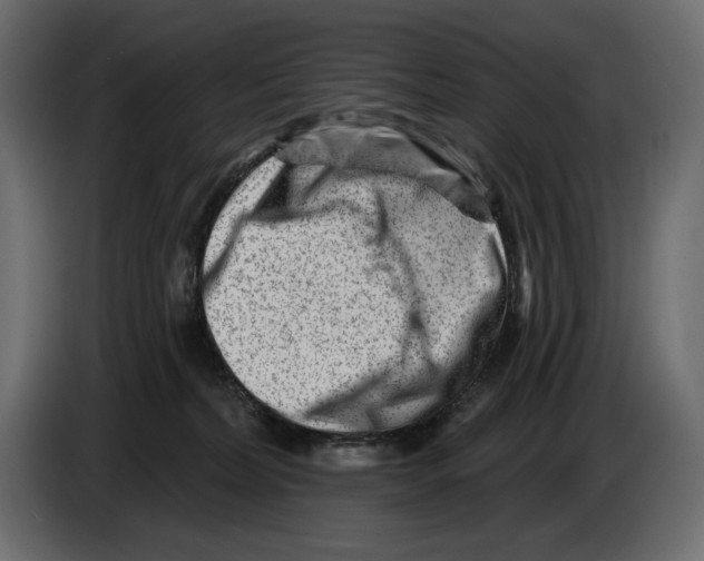 X0000082960228200703020219