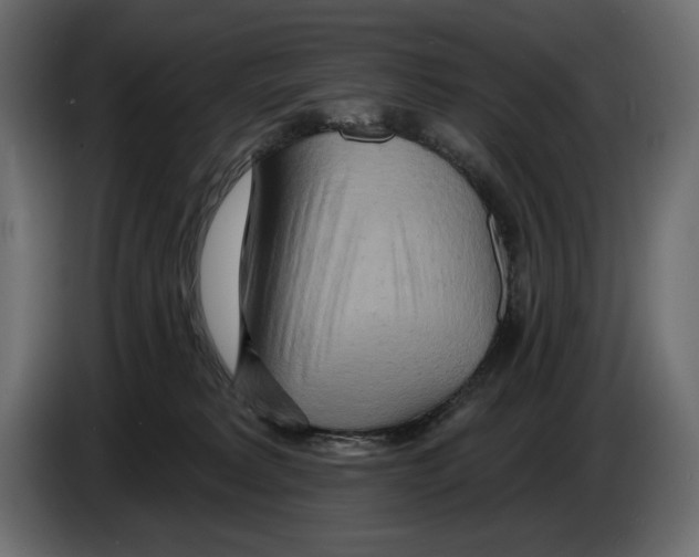 X0000082960229200703020219