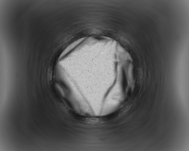 X0000082960230200703020219