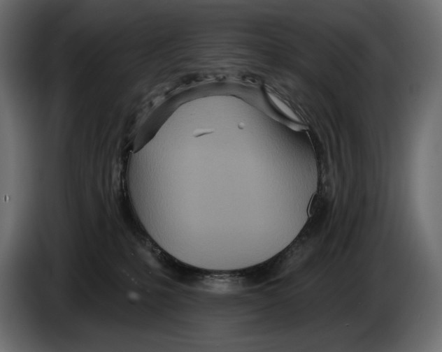 X0000082960231200703020219