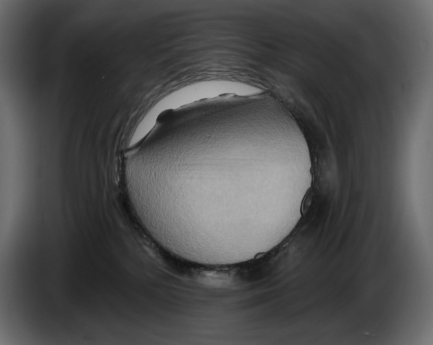 X0000082960232200703020219