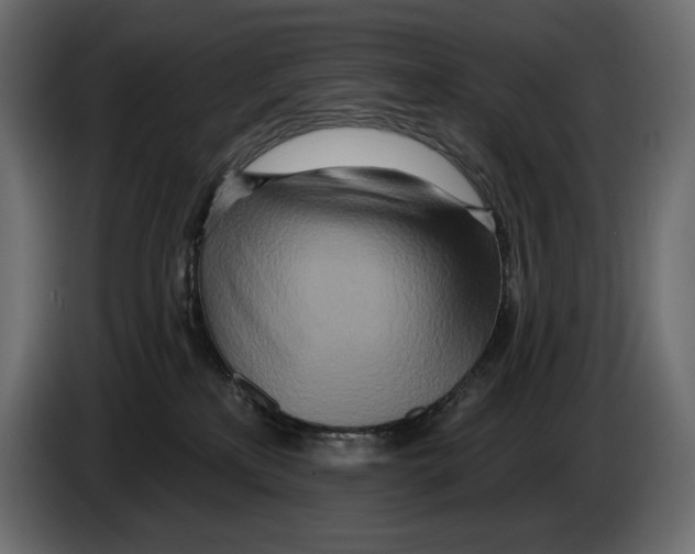 X0000082960233200703020219