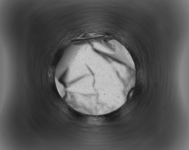 X0000082960234200703020219