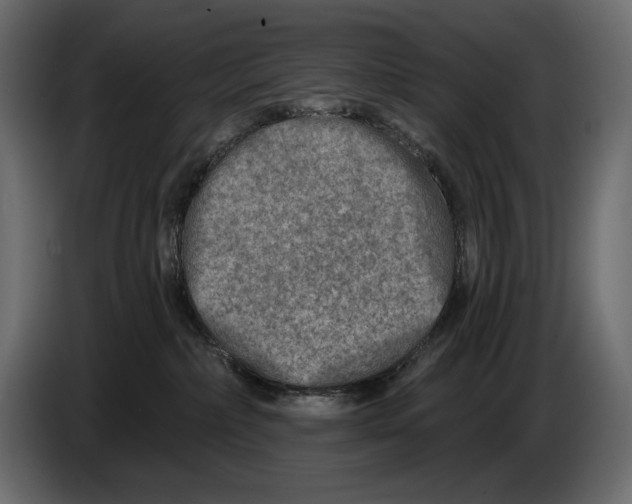 X0000082960236200703020219