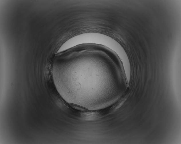 X0000082960237200703020219