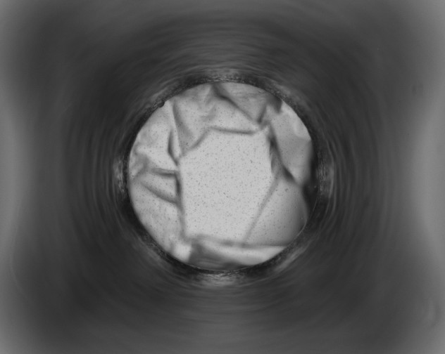 X0000082960238200703020219