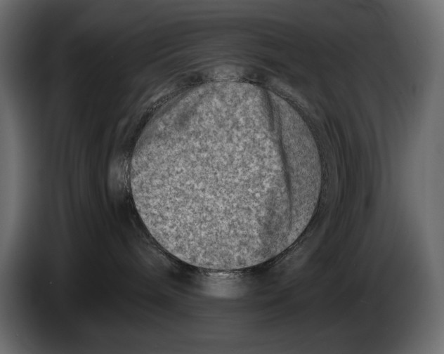 X0000082960240200703020219