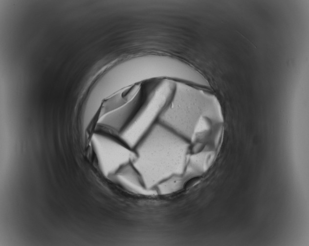 X0000082960242200703020218