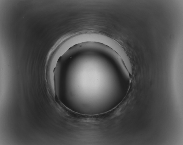 X0000082960244200703020218