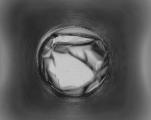 X0000082960246200703020218