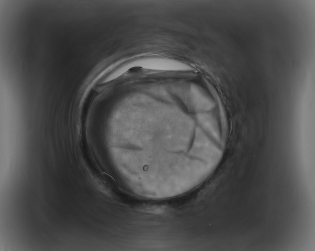 X0000082960247200703020218