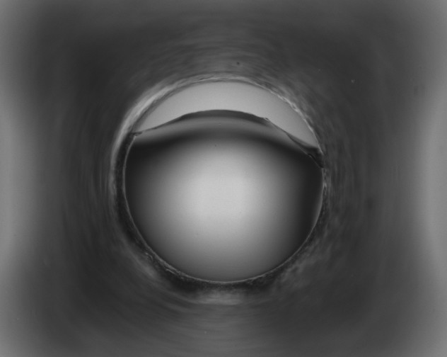 X0000082960248200703020218