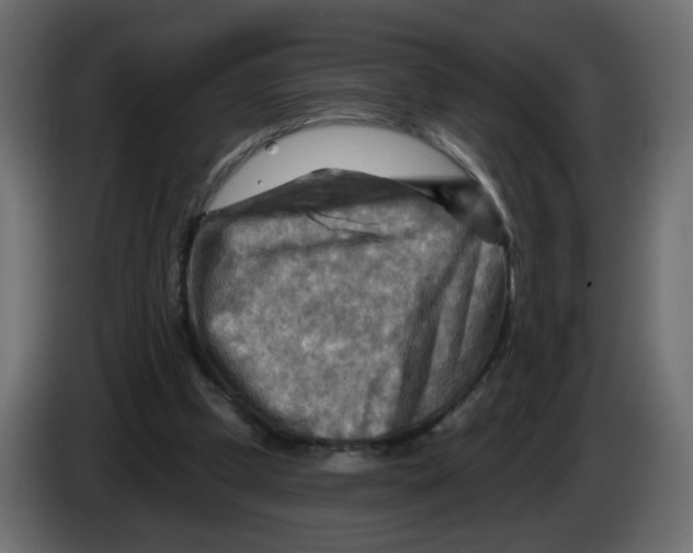 X0000082960249200703020218