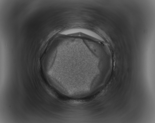 X0000082960250200703020218