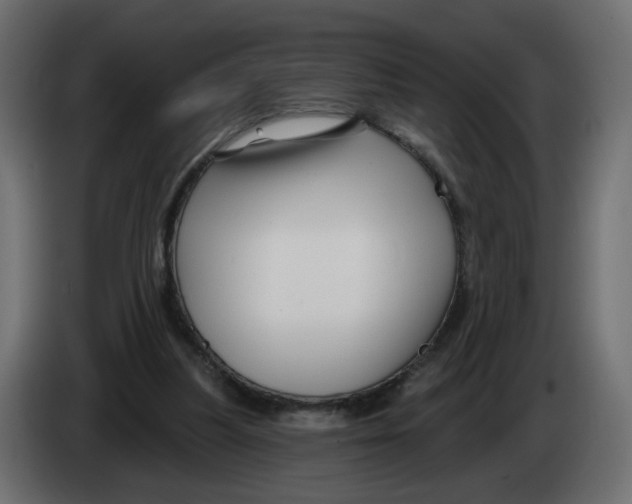 X0000082960251200703020218