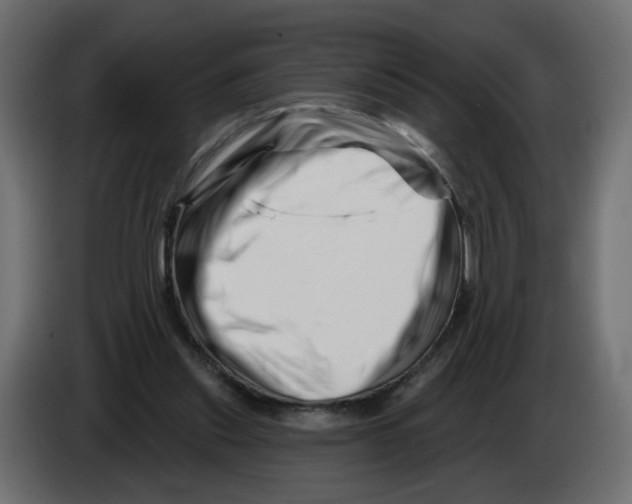 X0000082960253200703020218