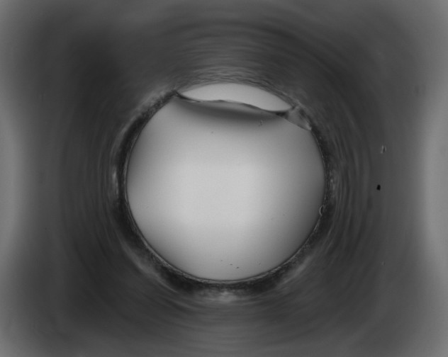 X0000082960254200703020219