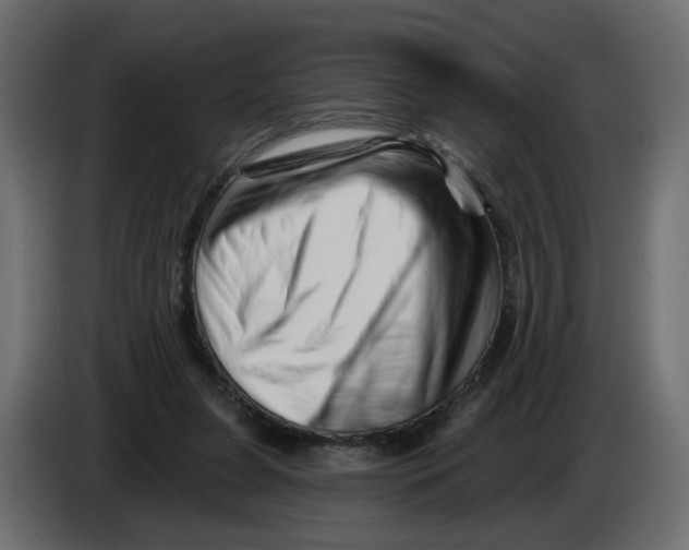 X0000082960255200703020219