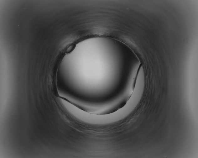 X0000082960256200703020219