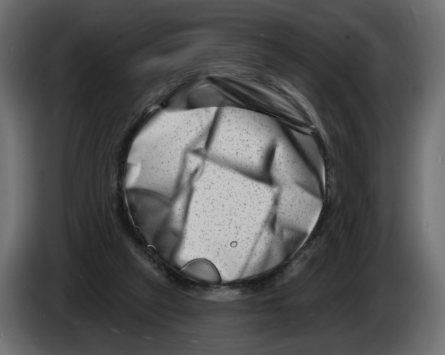 X0000082960257200703020219