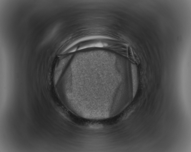 X0000082960258200703020219