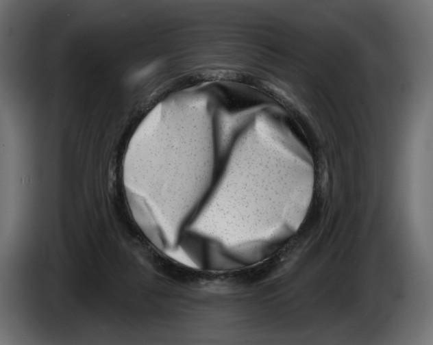 X0000082960259200703020219