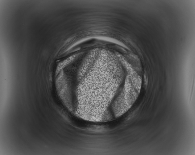 X0000082960260200703020219