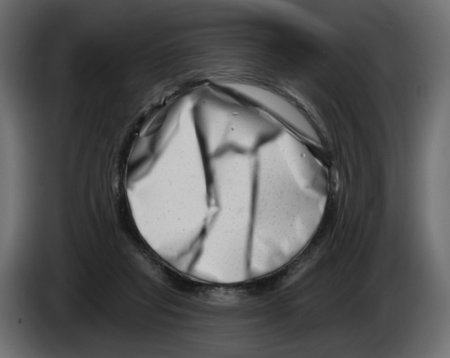 X0000082960261200703020219