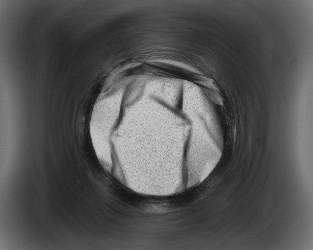 X0000082960263200703020219