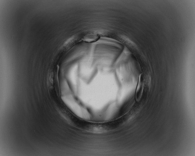 X0000082960264200703020219