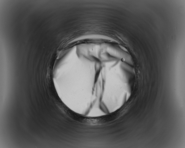 X0000082960265200703020219