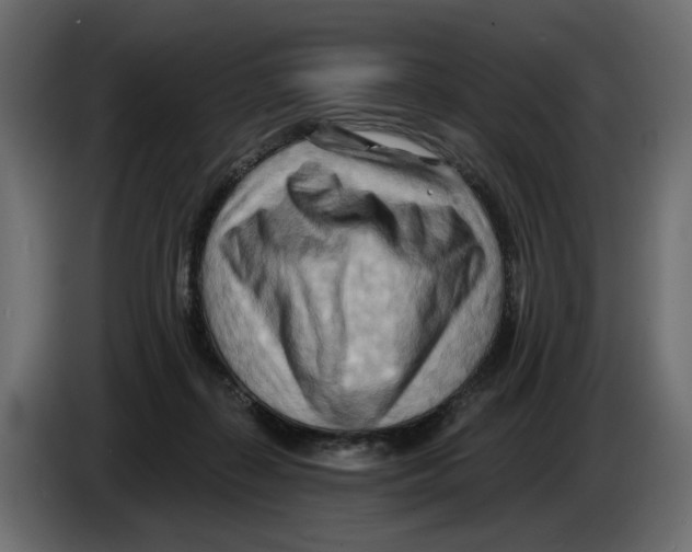 X0000082960267200703020219