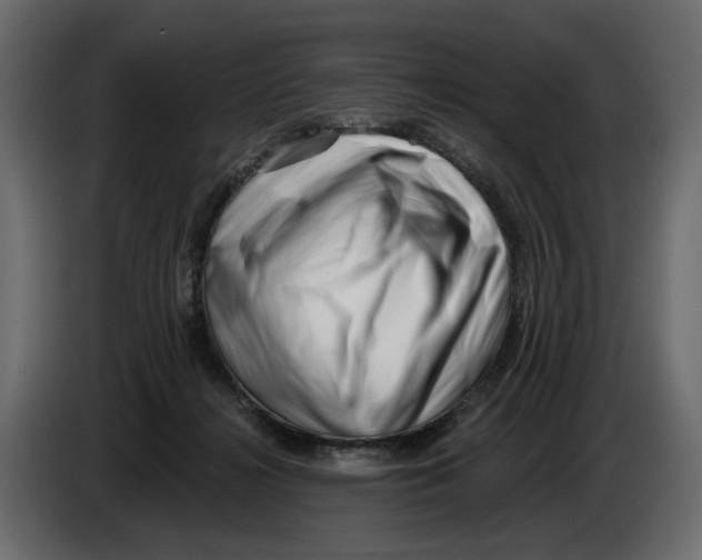 X0000082960268200703020219