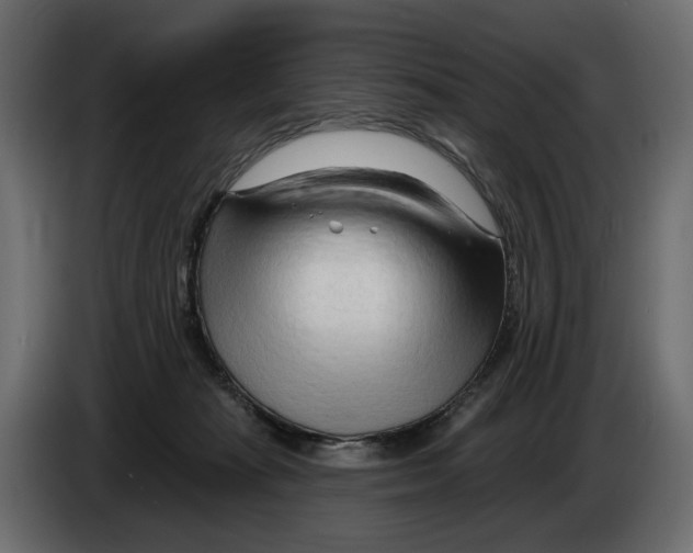 X0000082960269200703020219