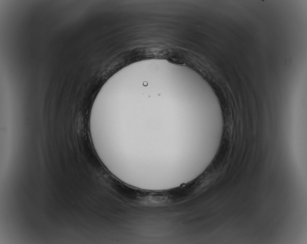 X0000082960270200703020219