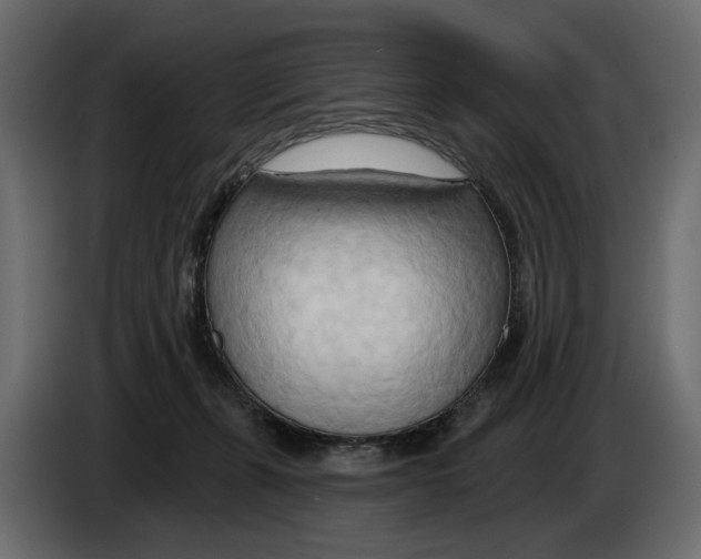 X0000082960271200703020219