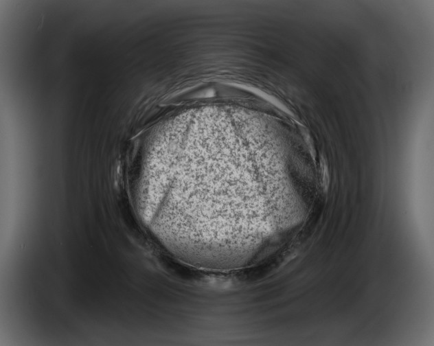 X0000082960272200703020219