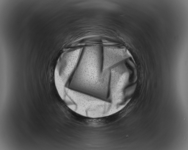 X0000082960273200703020219