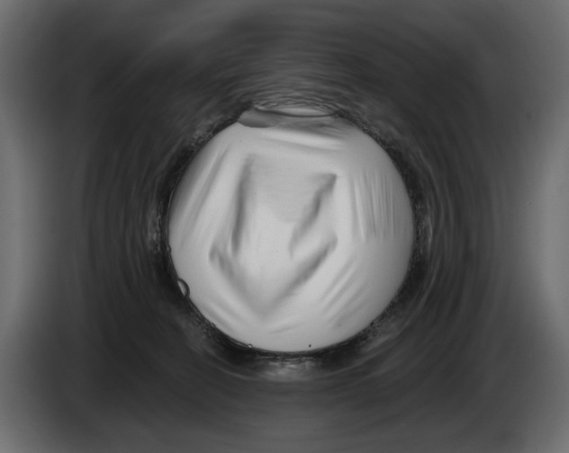 X0000082960274200703020219