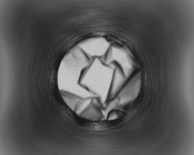 X0000082960275200703020219