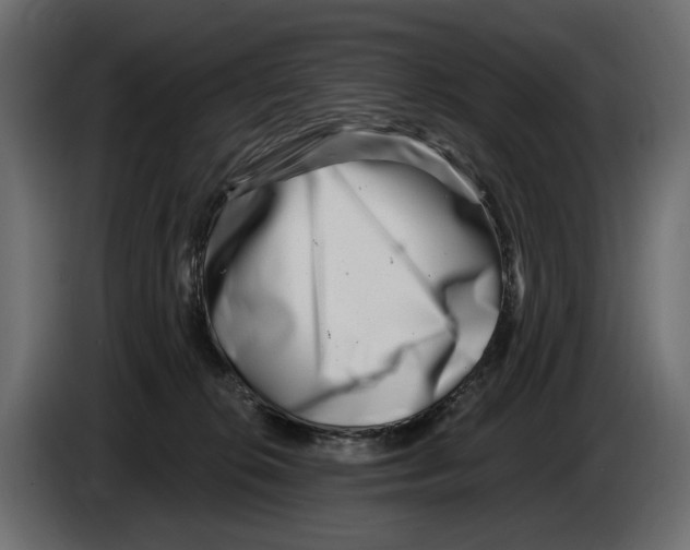 X0000082960276200703020219