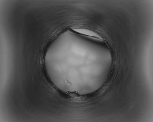 X0000082960277200703020219