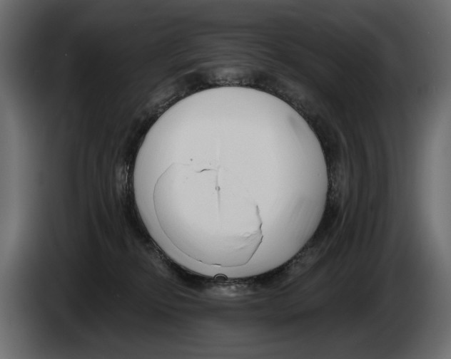 X0000082960278200703020219