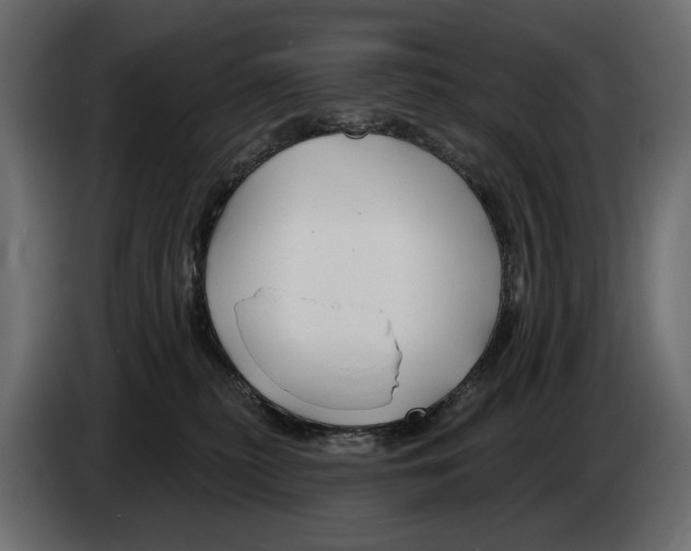 X0000082960279200703020219