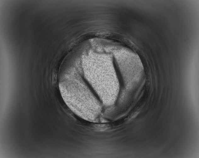 X0000082960281200703020219