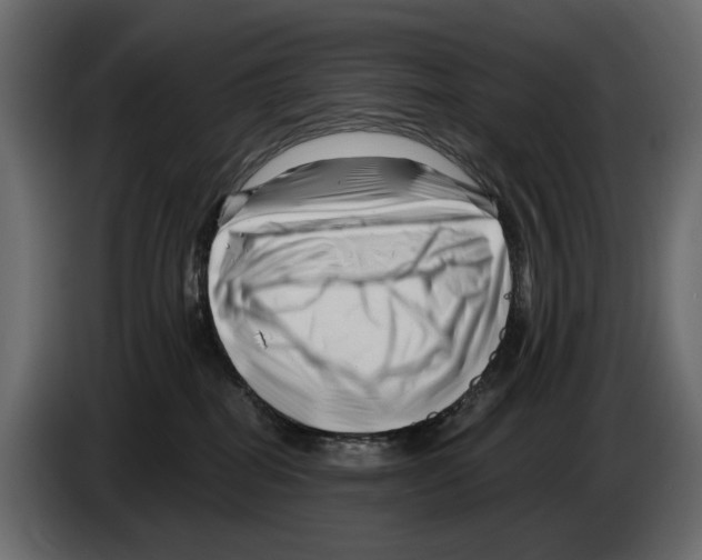 X0000082960282200703020219