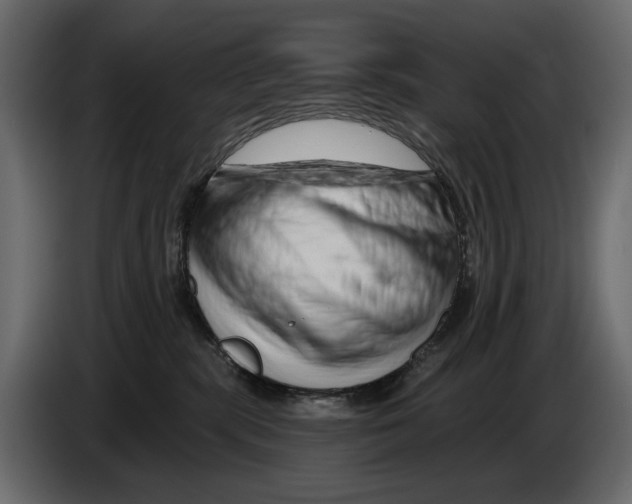 X0000082960283200703020219