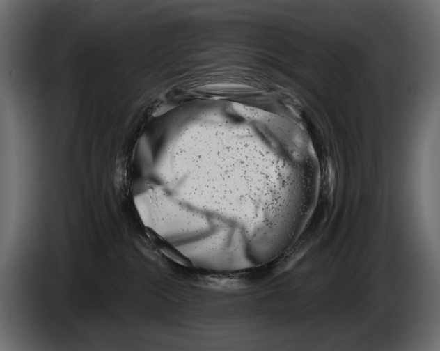 X0000082960284200703020219